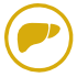 Apoyo hepatico